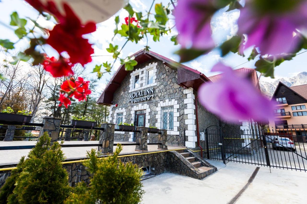 Royal Inn Busteni-Adults Only Exterior photo